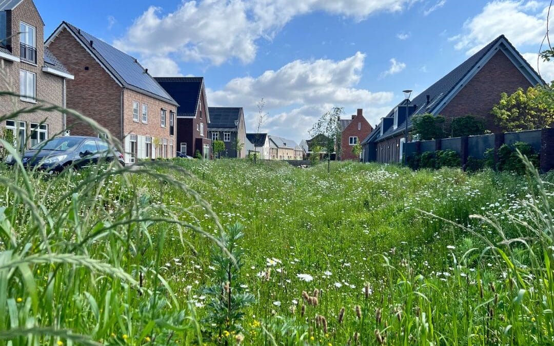 HUYSACKERS TE VELDHOVEN