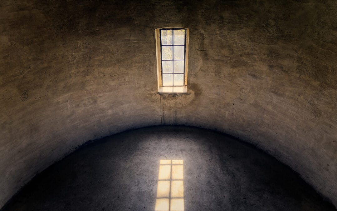 Daglicht en de belemmering van bomen op een naburig perceel