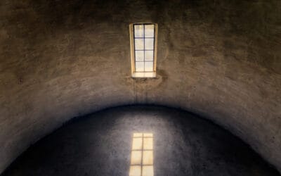 Daglicht en de belemmering van bomen op een naburig perceel